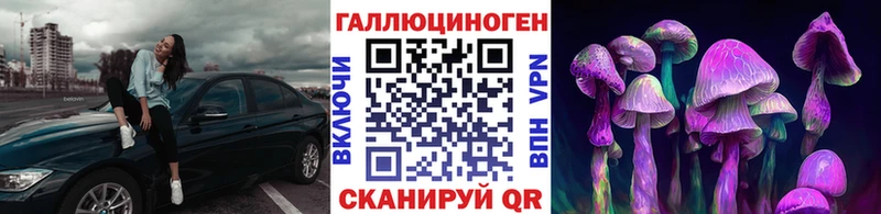 Купить  Темрюк  Псилоцибиновые грибы Cubensis 